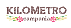 Web Specialist per KM Campania